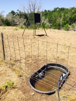 FEEDER #1 - Feeder and Trough II
